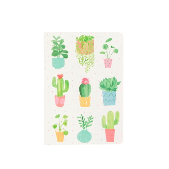 Zápisník pastelové kaktusyphoto