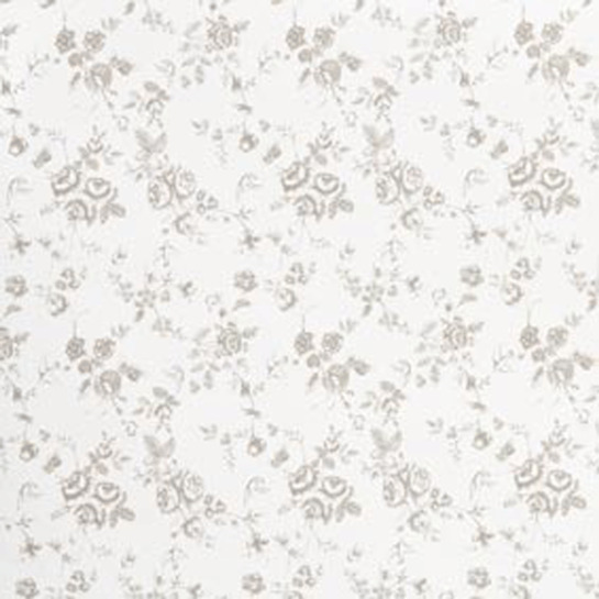 Baliaci papier IP0001Nphoto