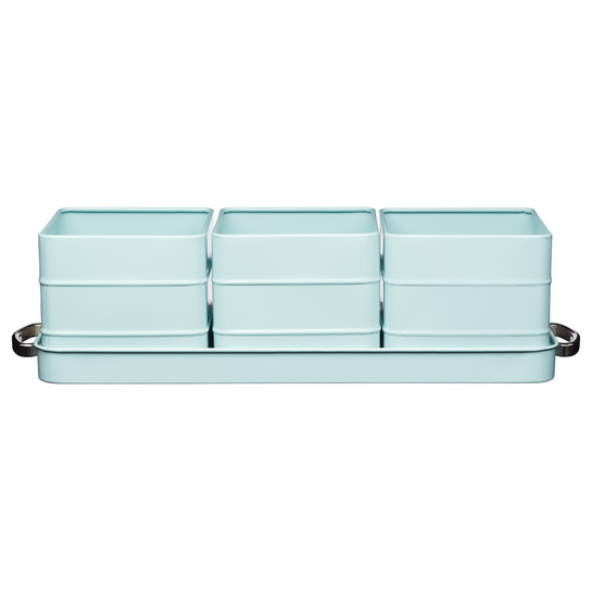 Dózy na bylinky modréphoto