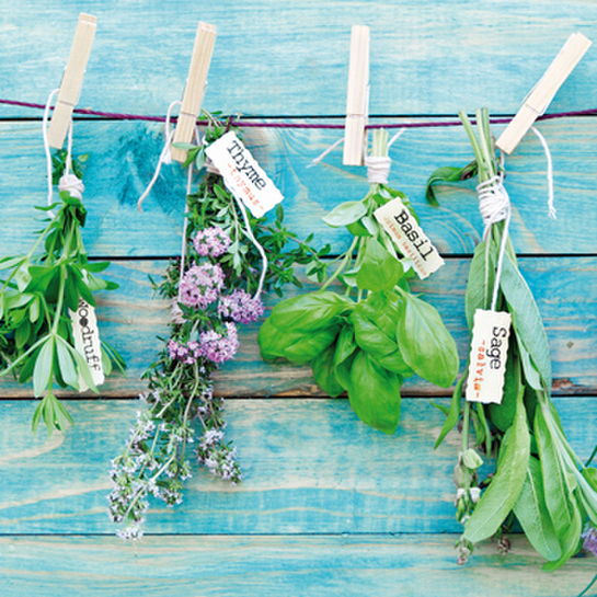 Papierové obrúsky bylinkový mixphoto