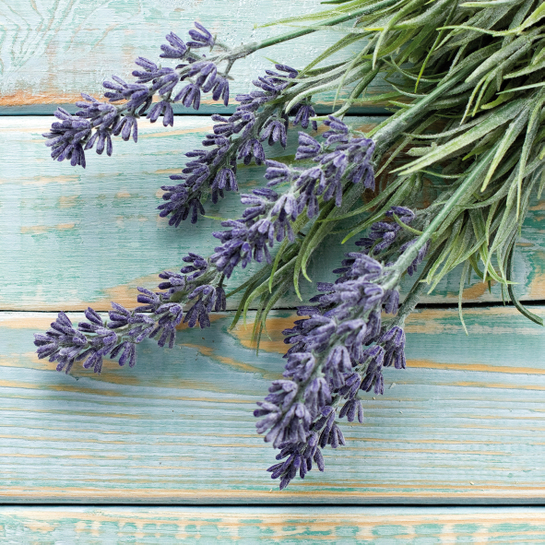 Papierové obrúsky Levanduľaphoto