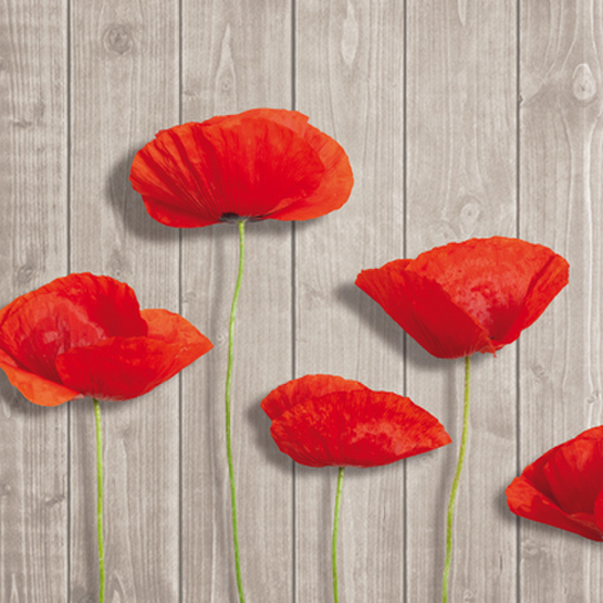 Papierové obrúsky červené makyphoto