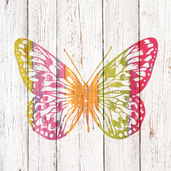 Papierové obrúsky farebný motýľphoto