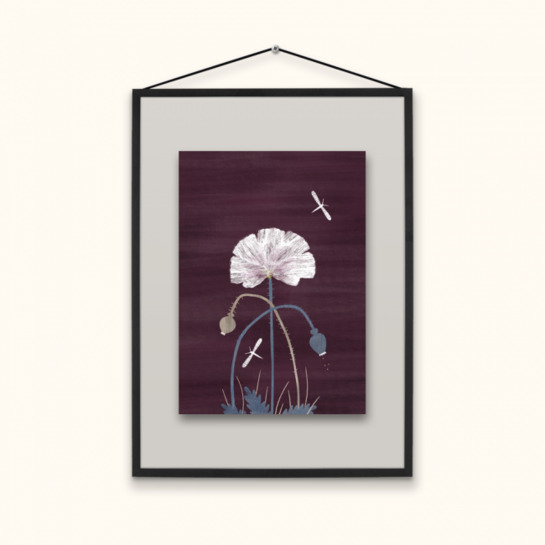 Obrázok Makový kvetphoto