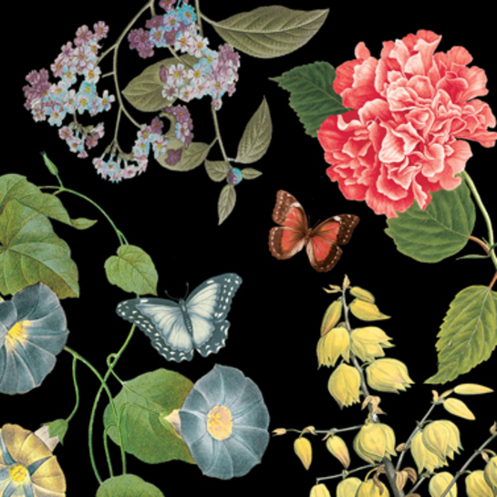 Papierové obrúsky Kvety a motýlephoto