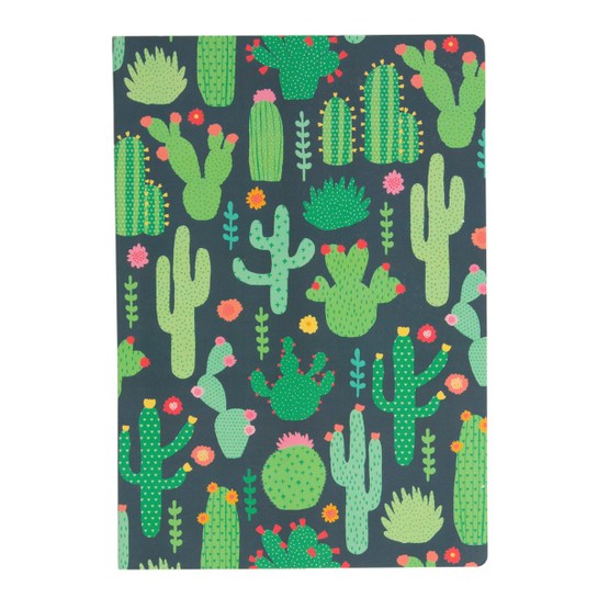 Zápisník kaktusovýphoto