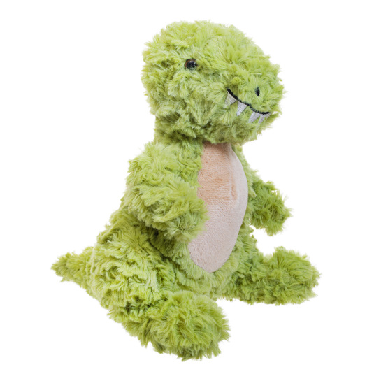 Dinosaurus Roryphoto