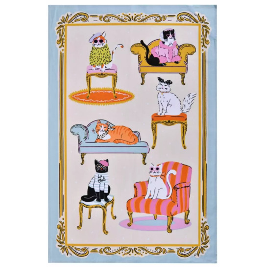Utierka na riad- cool catsphoto